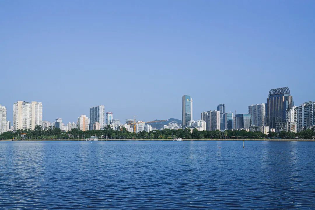 新思路|向"新"而行 提"质"而兴-厦门市思明区人民政府